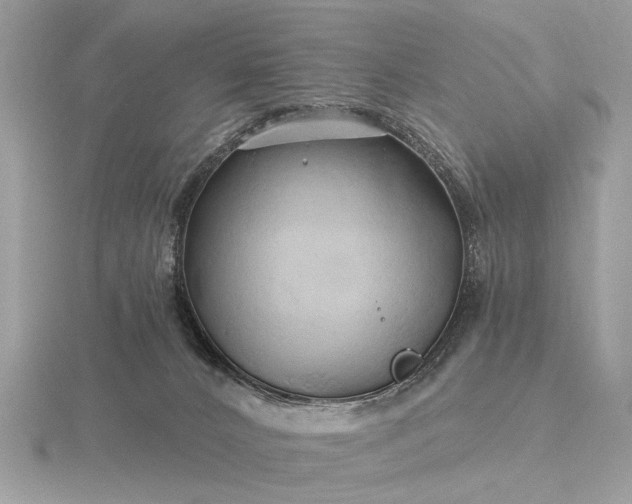 X0000116280032200912141358