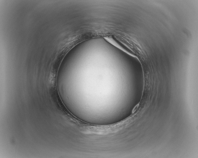 X0000116280033200912141358