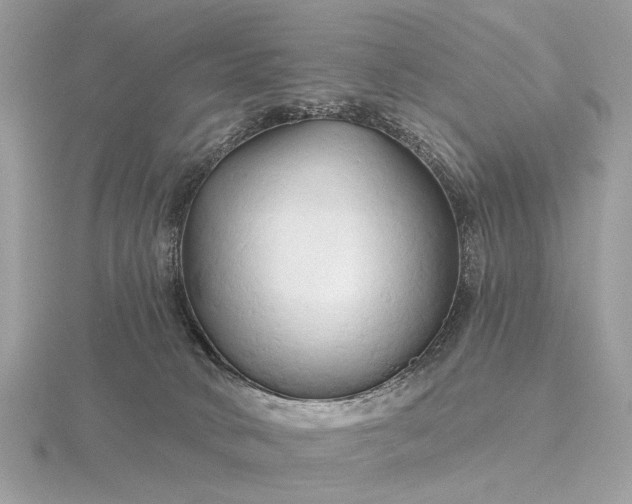 X0000116280034200912141358