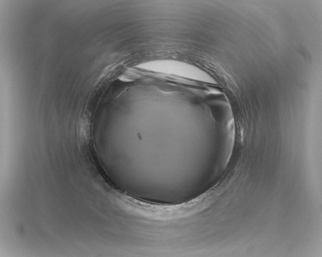 X0000116280035200912141358