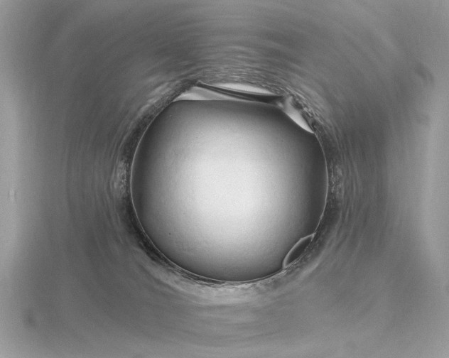 X0000116280036200912141358