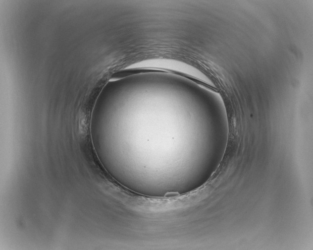 X0000116280037200912141358