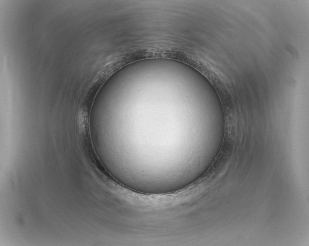 X0000116280038200912141358