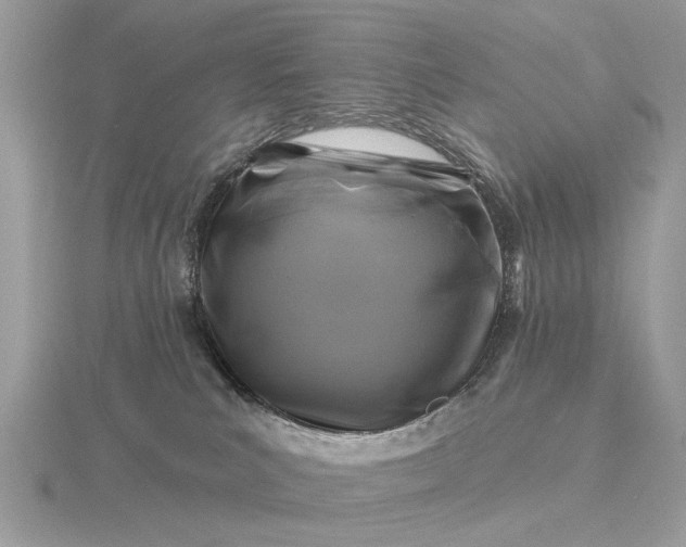 X0000116280039200912141357