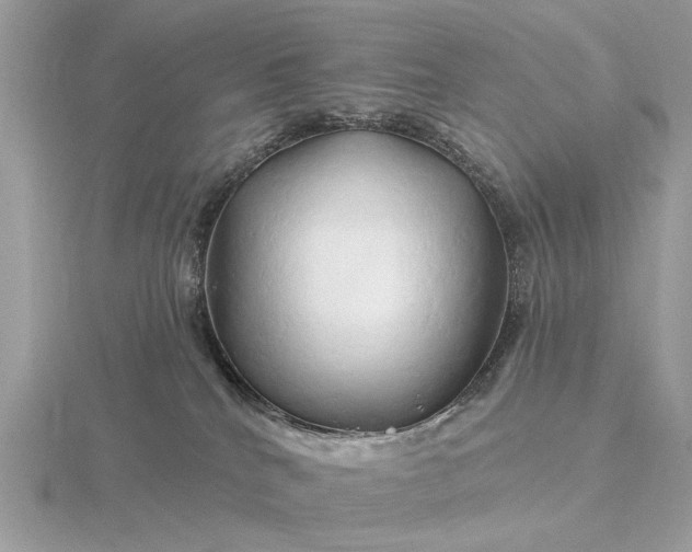 X0000116280040200912141357