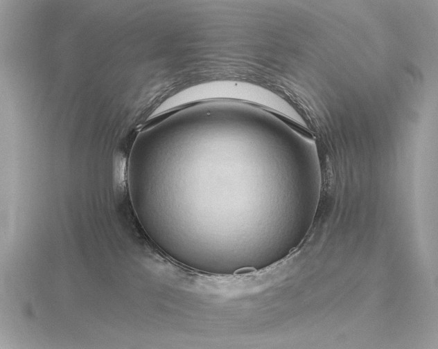 X0000116280041200912141357