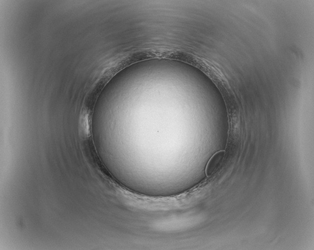 X0000116280042200912141357