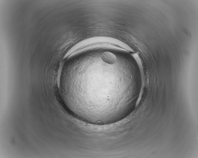 X0000116280043200912141357