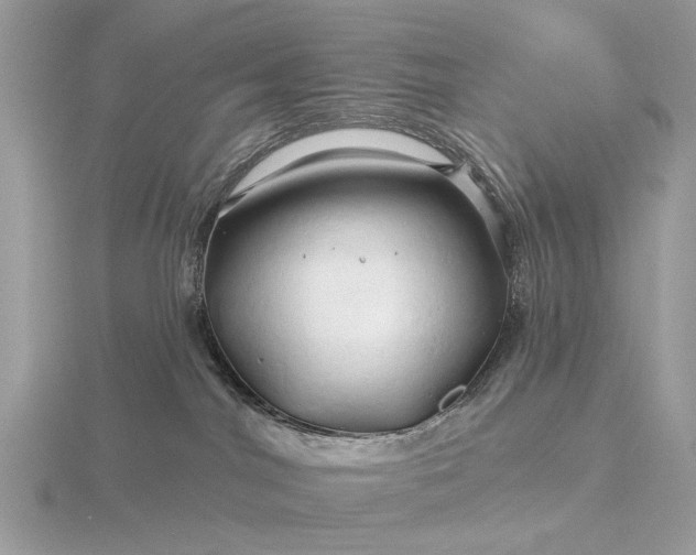 X0000116280044200912141357