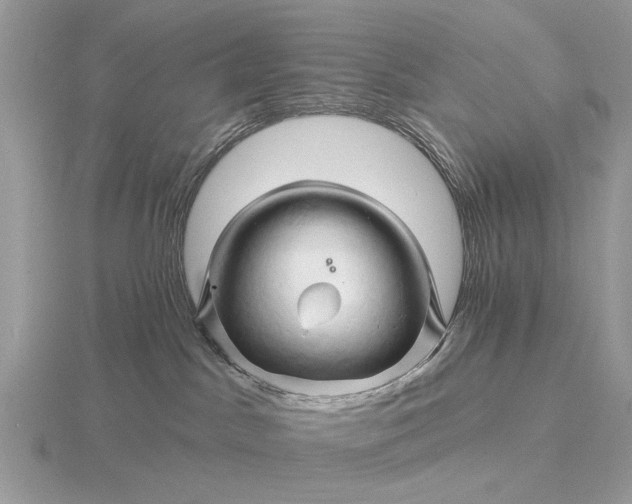 X0000116280045200912141357