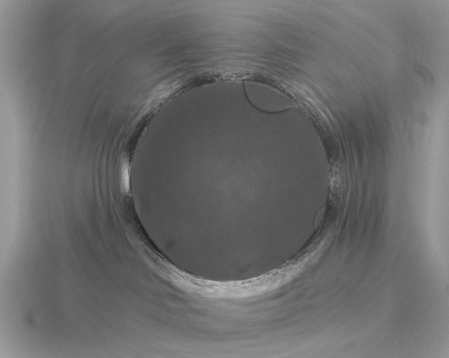 X0000116280046200912141357