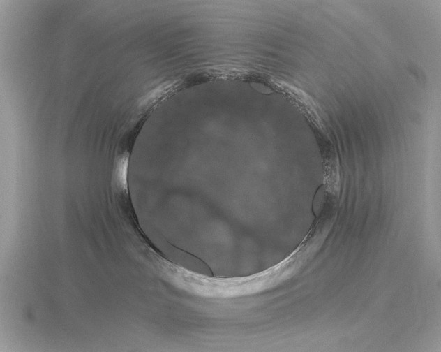 X0000116280047200912141357