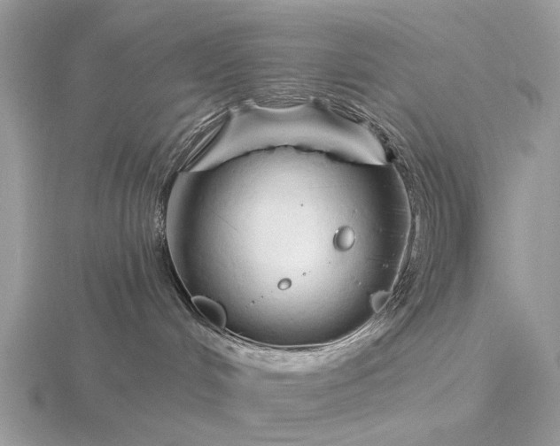 X0000116280048200912141357