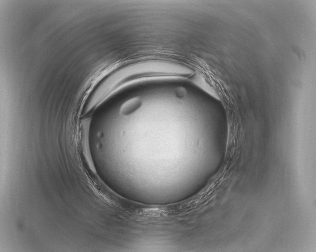 X0000116280050200912141357