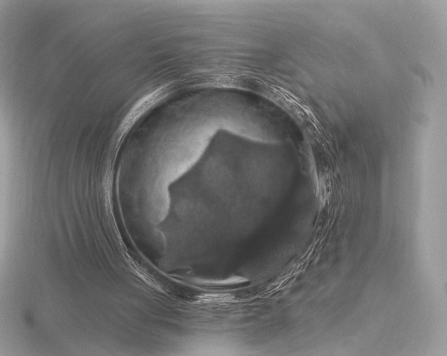 X0000116280051200912141357