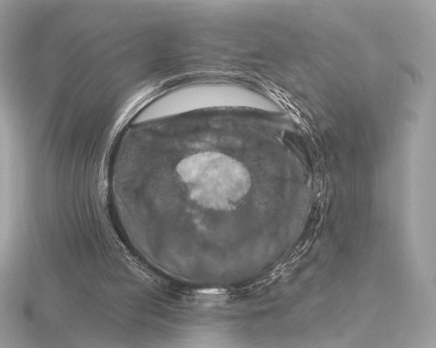 X0000116280053200912141357