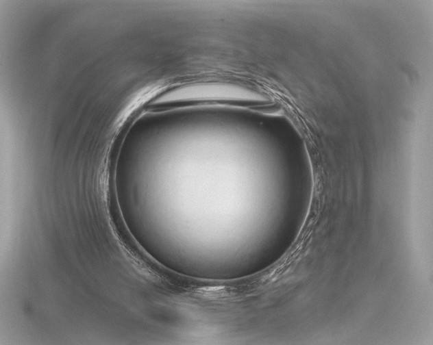 X0000116280054200912141357