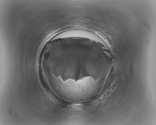 X0000116280055200912141357