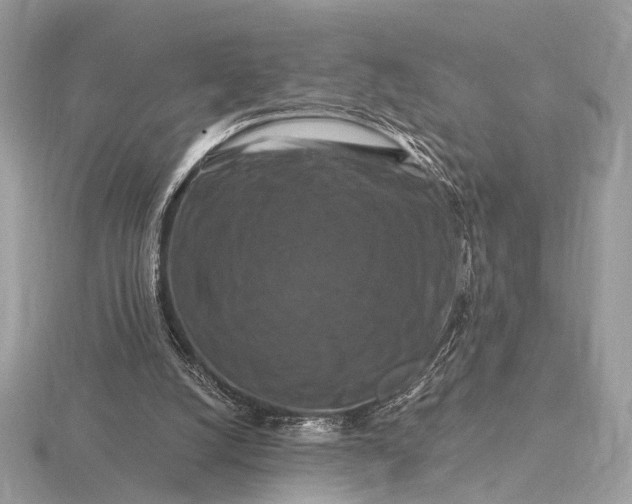 X0000116280056200912141357