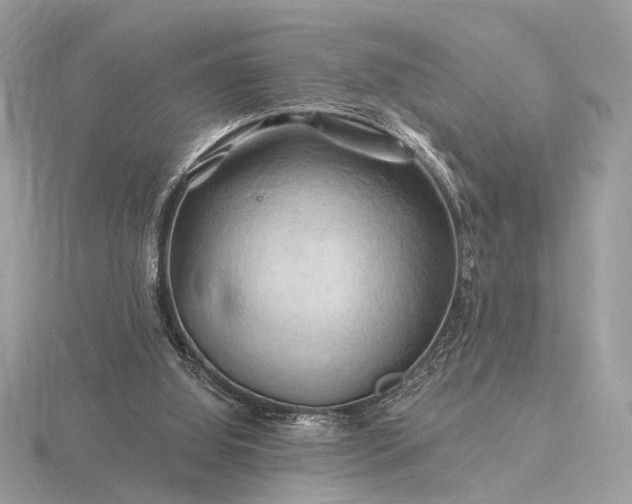 X0000116280060200912141357