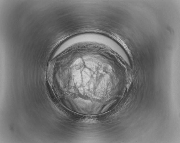 X0000116280063200912141357