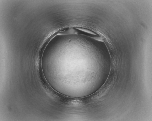 X0000116280064200912141357