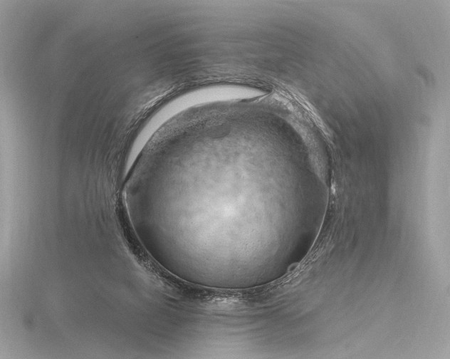 X0000116280066200912141357