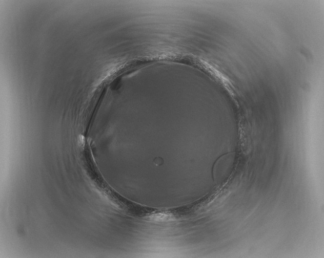 X0000116280067200912141357