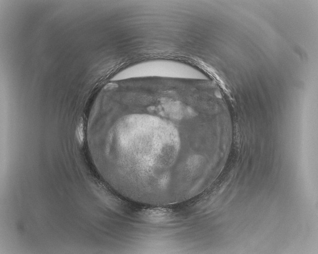 X0000116280069200912141357