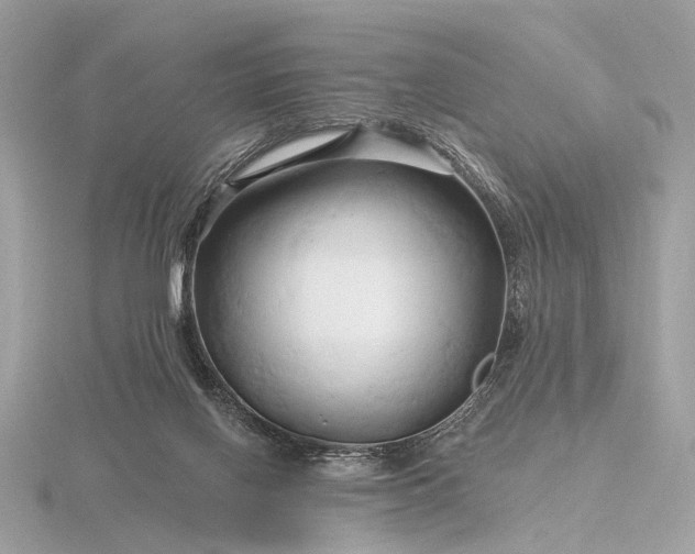 X0000116280070200912141357