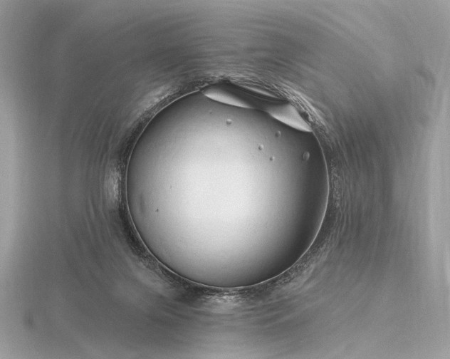 X0000116280071200912141357