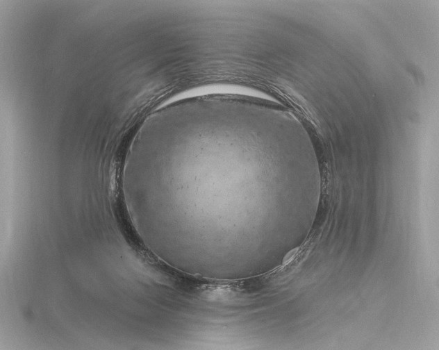 X0000116280074200912141357