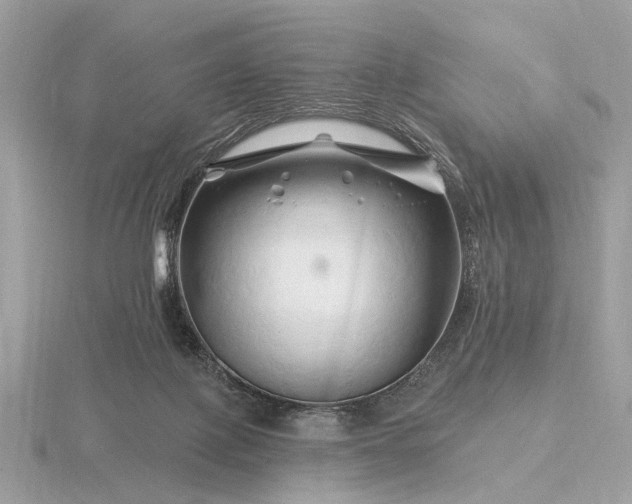 X0000116280075200912141357