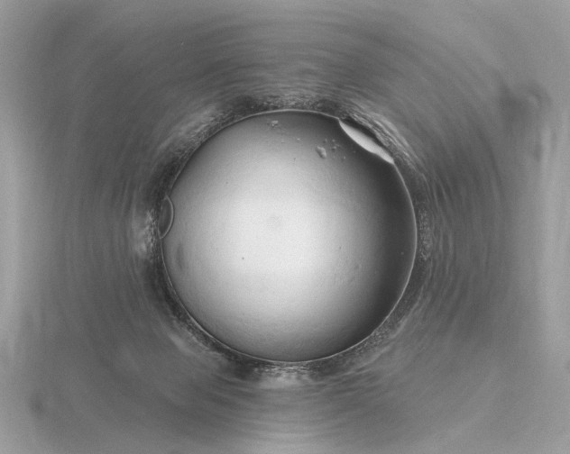 X0000116280077200912141357