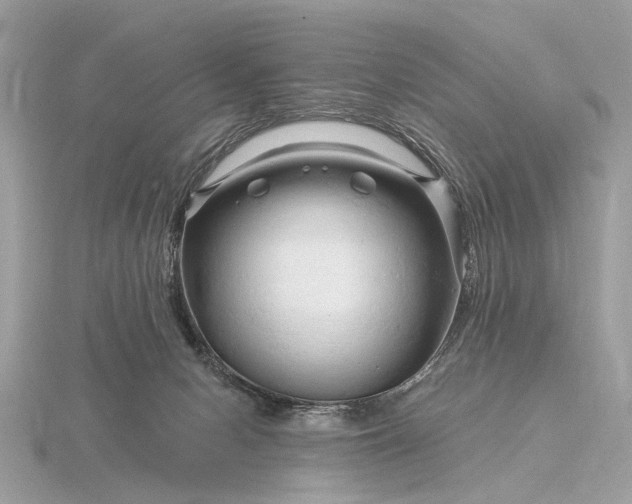 X0000116280078200912141357