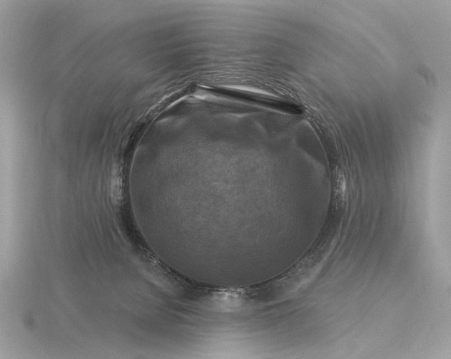 X0000116280080200912141357