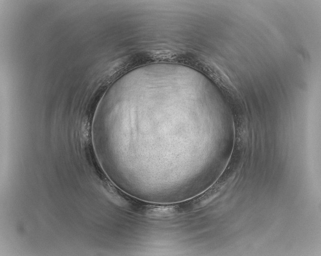 X0000116280081200912141357