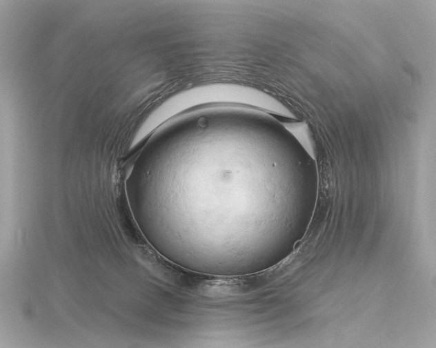 X0000116280082200912141357