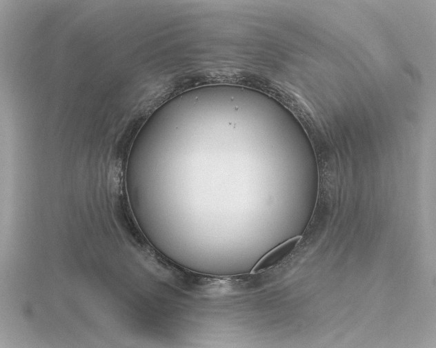 X0000116280083200912141357