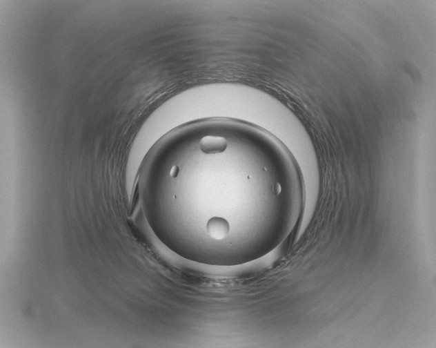 X0000116280084200912141357