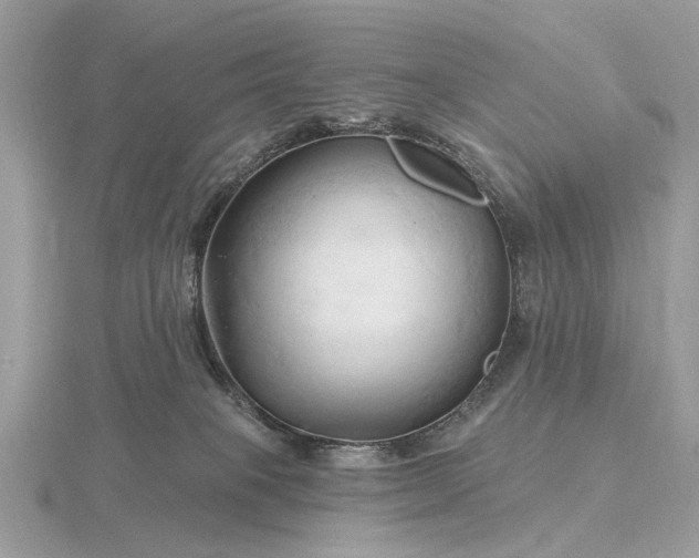 X0000116280085200912141357