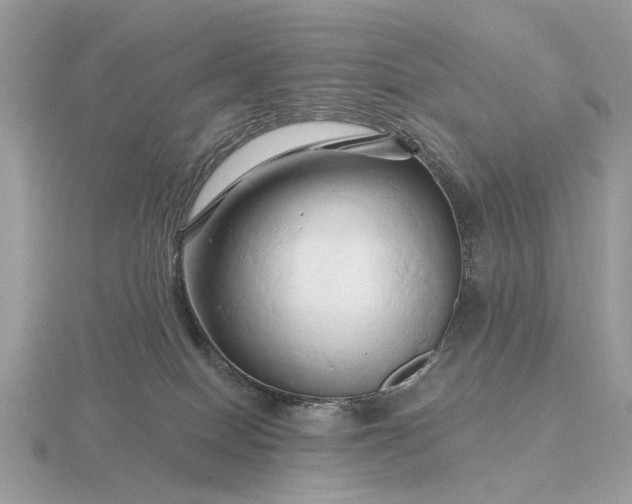 X0000116280086200912141357