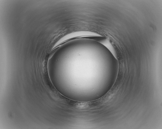 X0000116280088200912141357