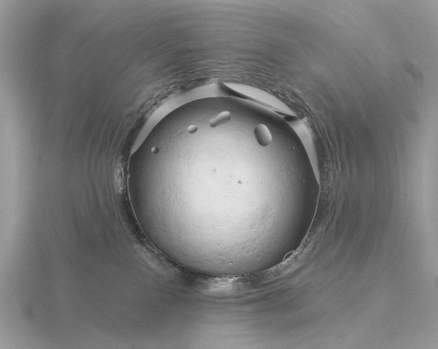 X0000116280090200912141357