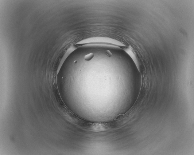 X0000116280091200912141357