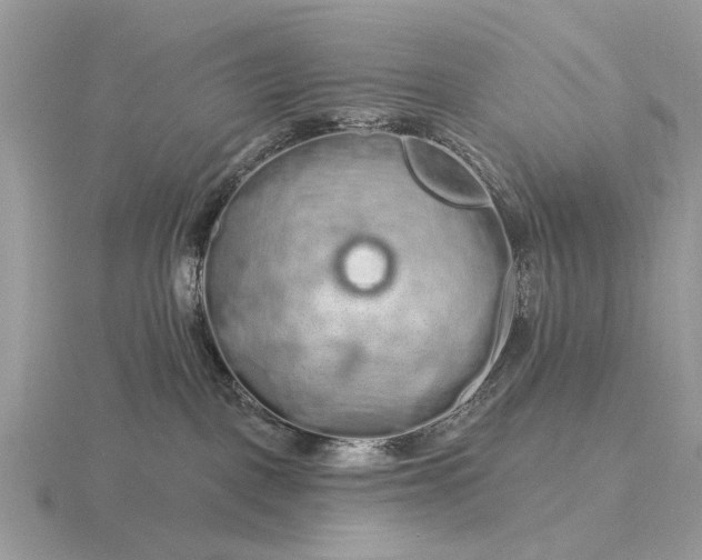 X0000116280093200912141357