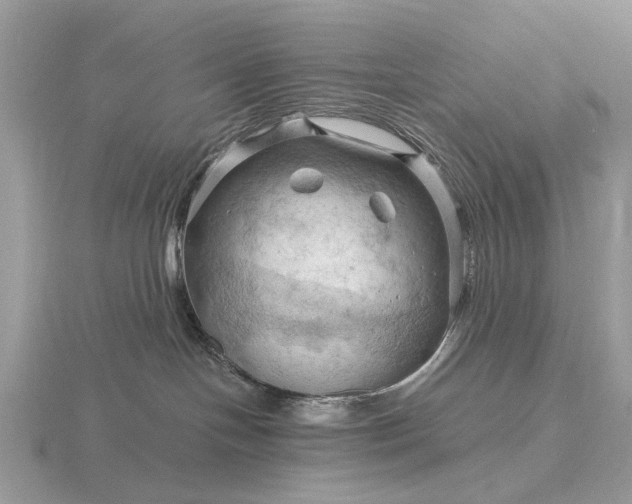 X0000116280094200912141357