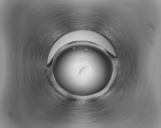 X0000116280096200912141357