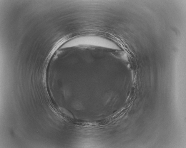 X0000116280099200912141357