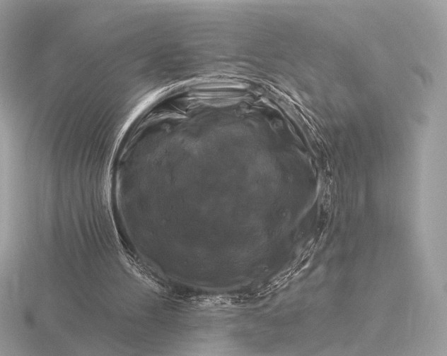 X0000116280100200912141357